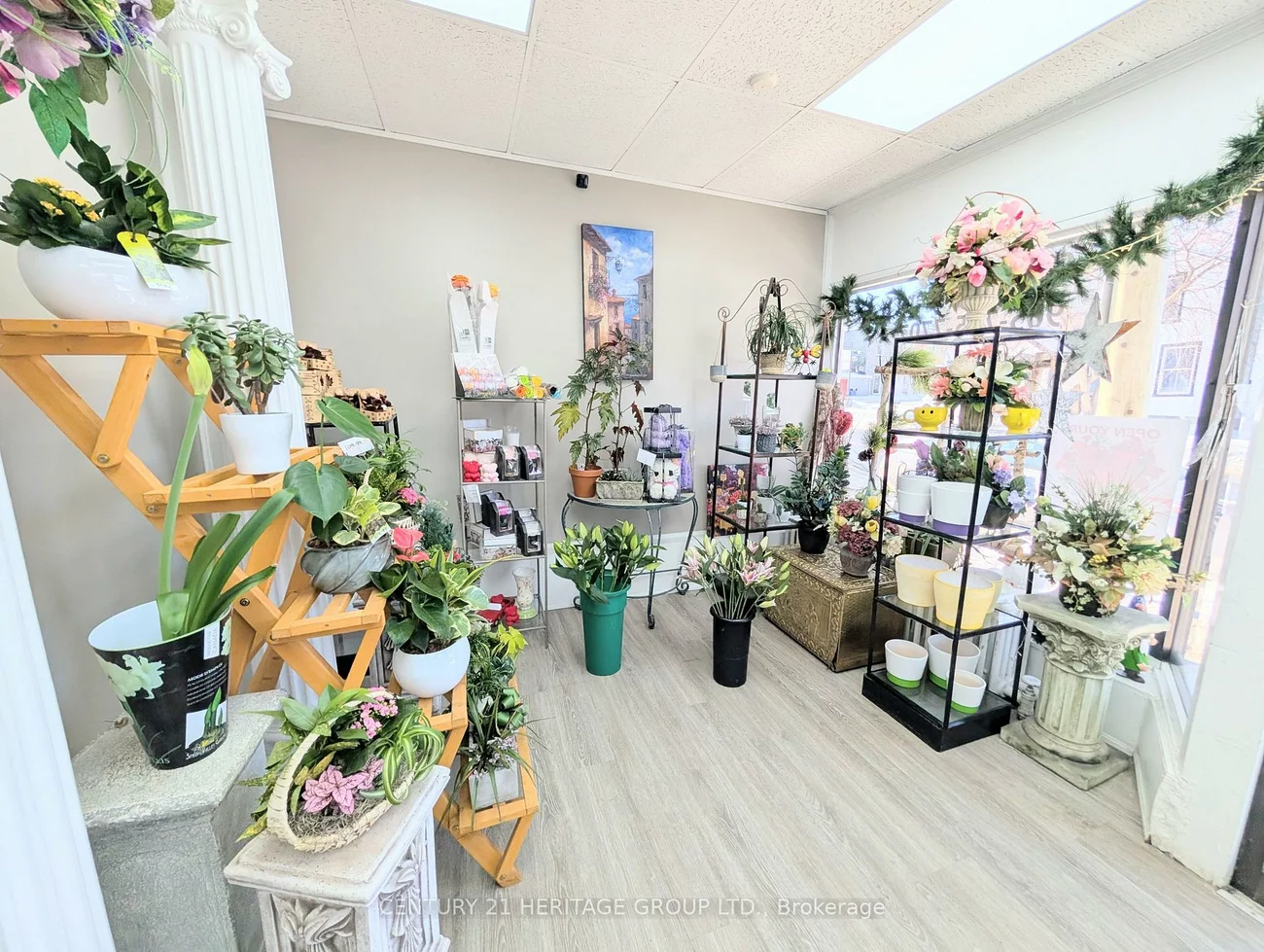 15, Main, Central Newmarket, Newmarket