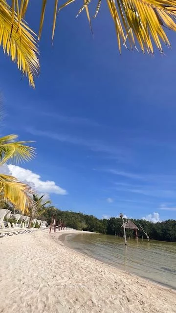 466, Speers, 1014 - QE Queen Elizabeth, Oakville