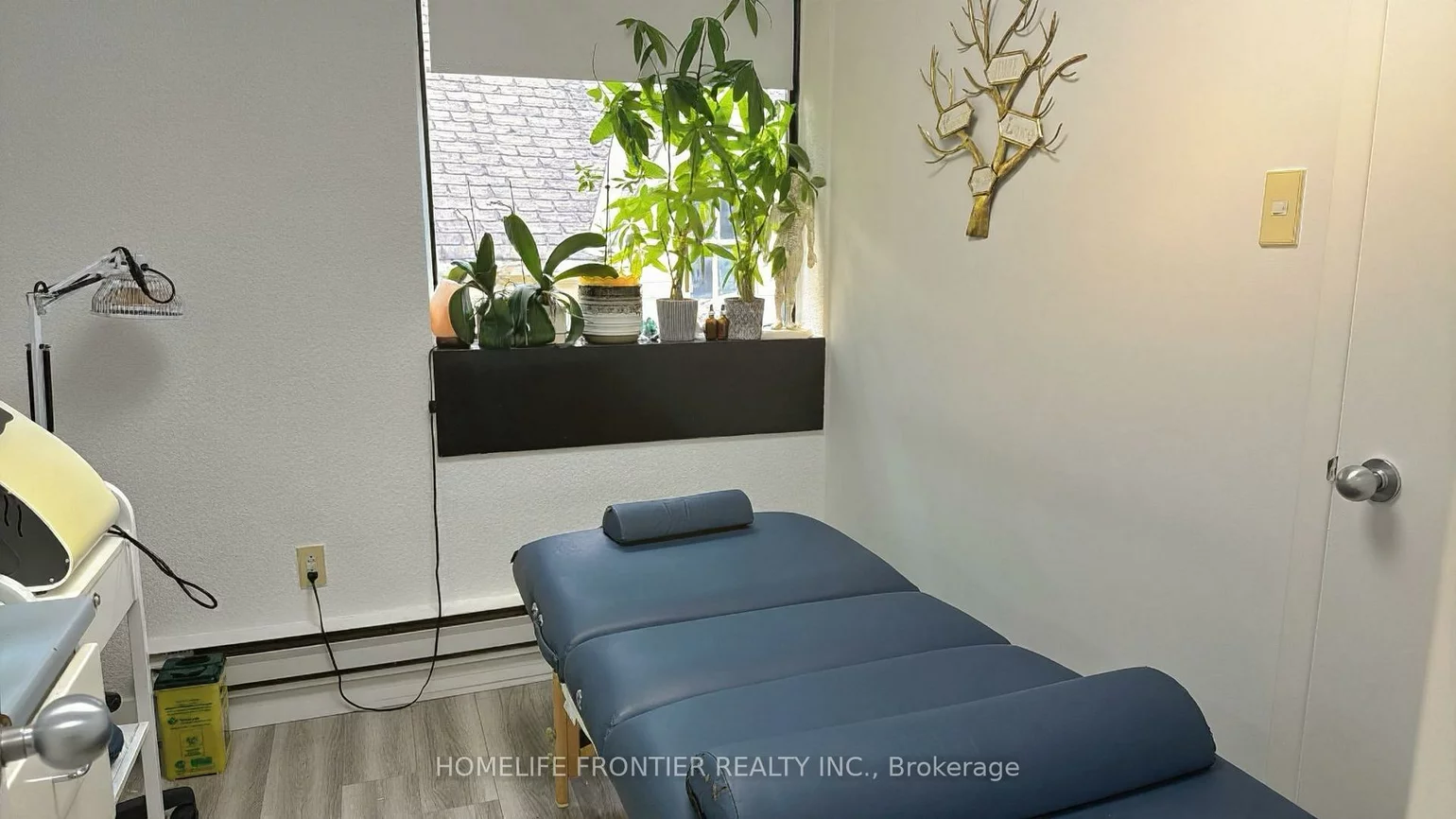 22, Richmond, Mill Pond, Richmond Hill