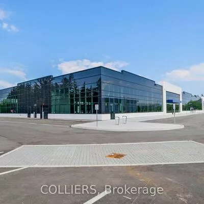 31, Performance, Rural Richmond Hill, Richmond Hill