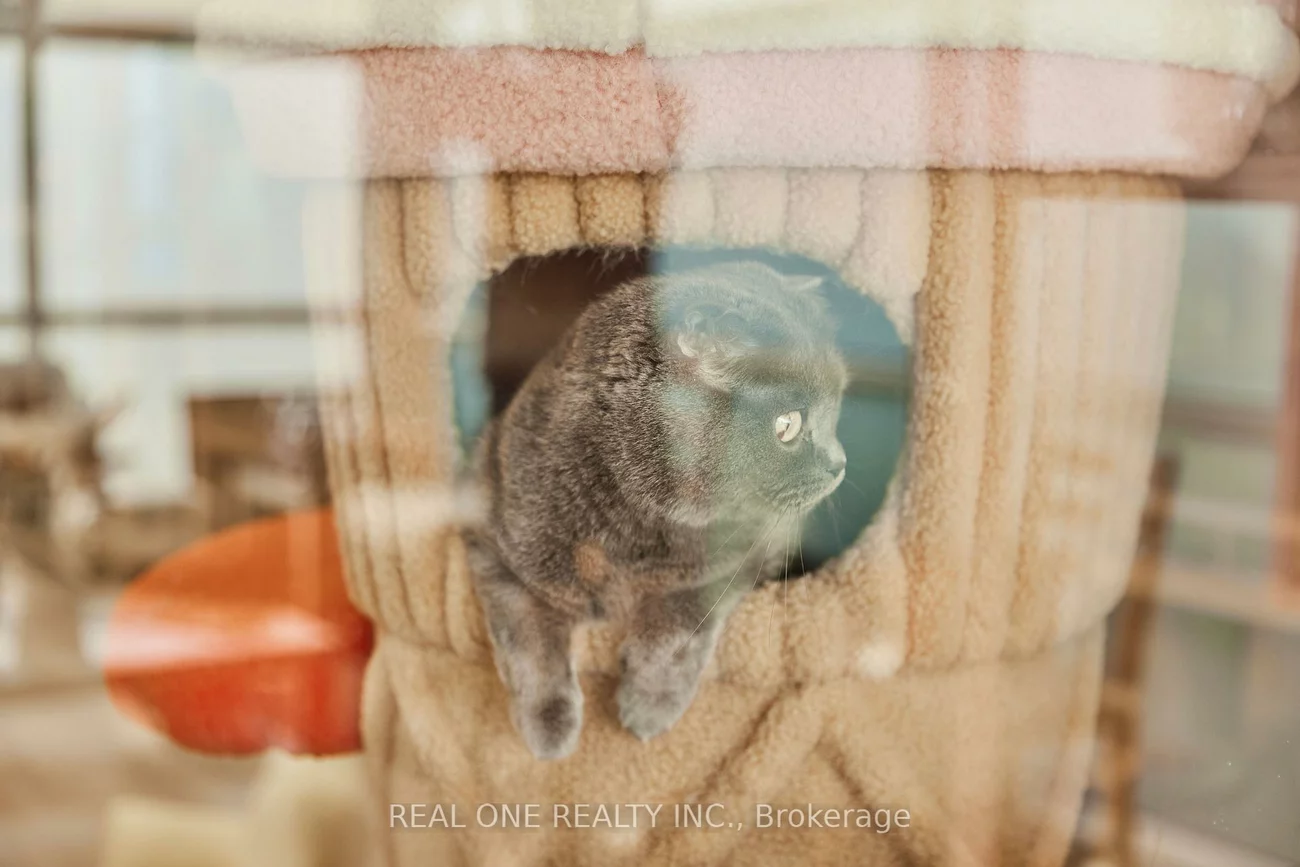 12285, Yonge, Rural Richmond Hill, Richmond Hill