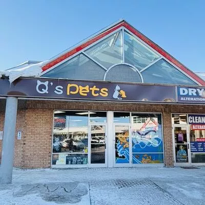 420, HWY 7, Doncrest, Richmond Hill