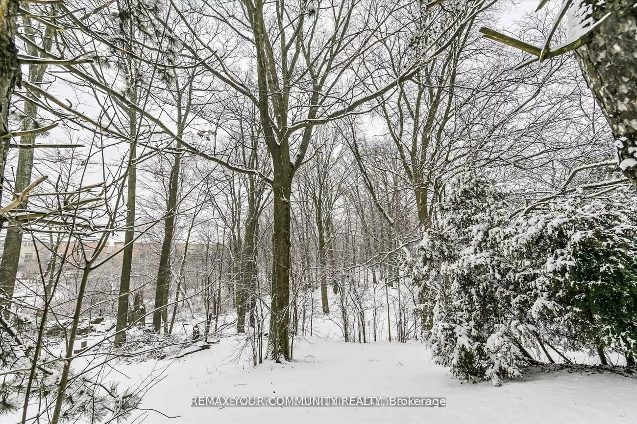 247, Harris, Jefferson, Richmond Hill