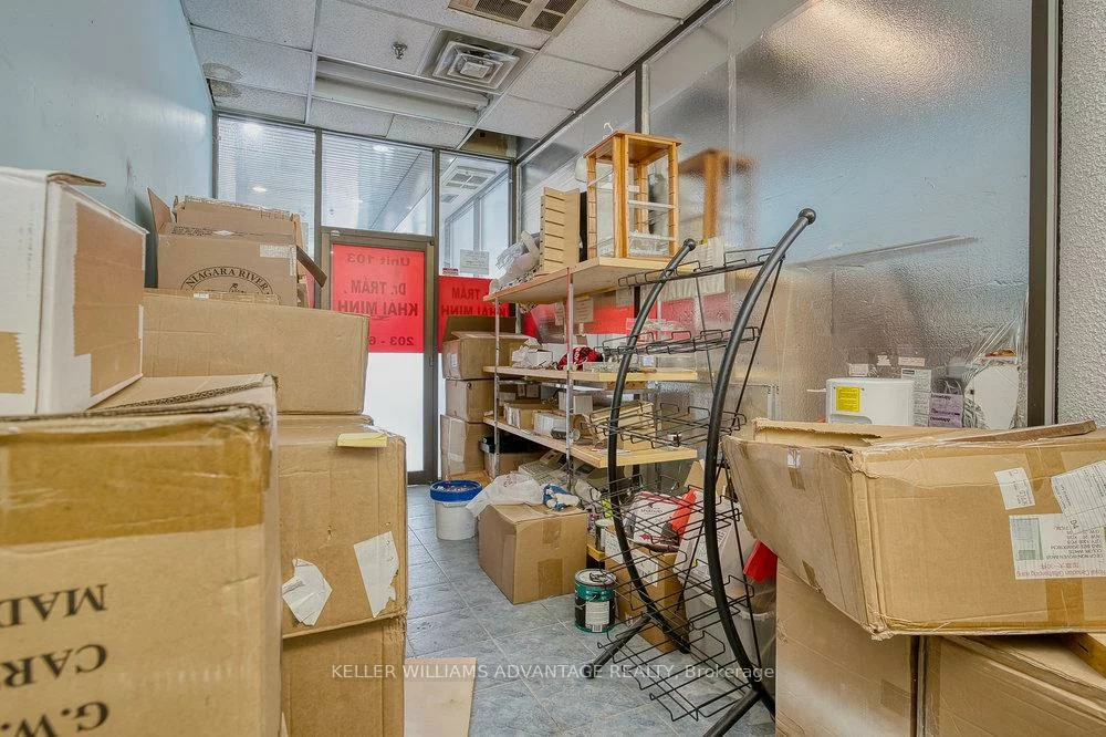 302, Spadina, Kensington-Chinatown, Toronto