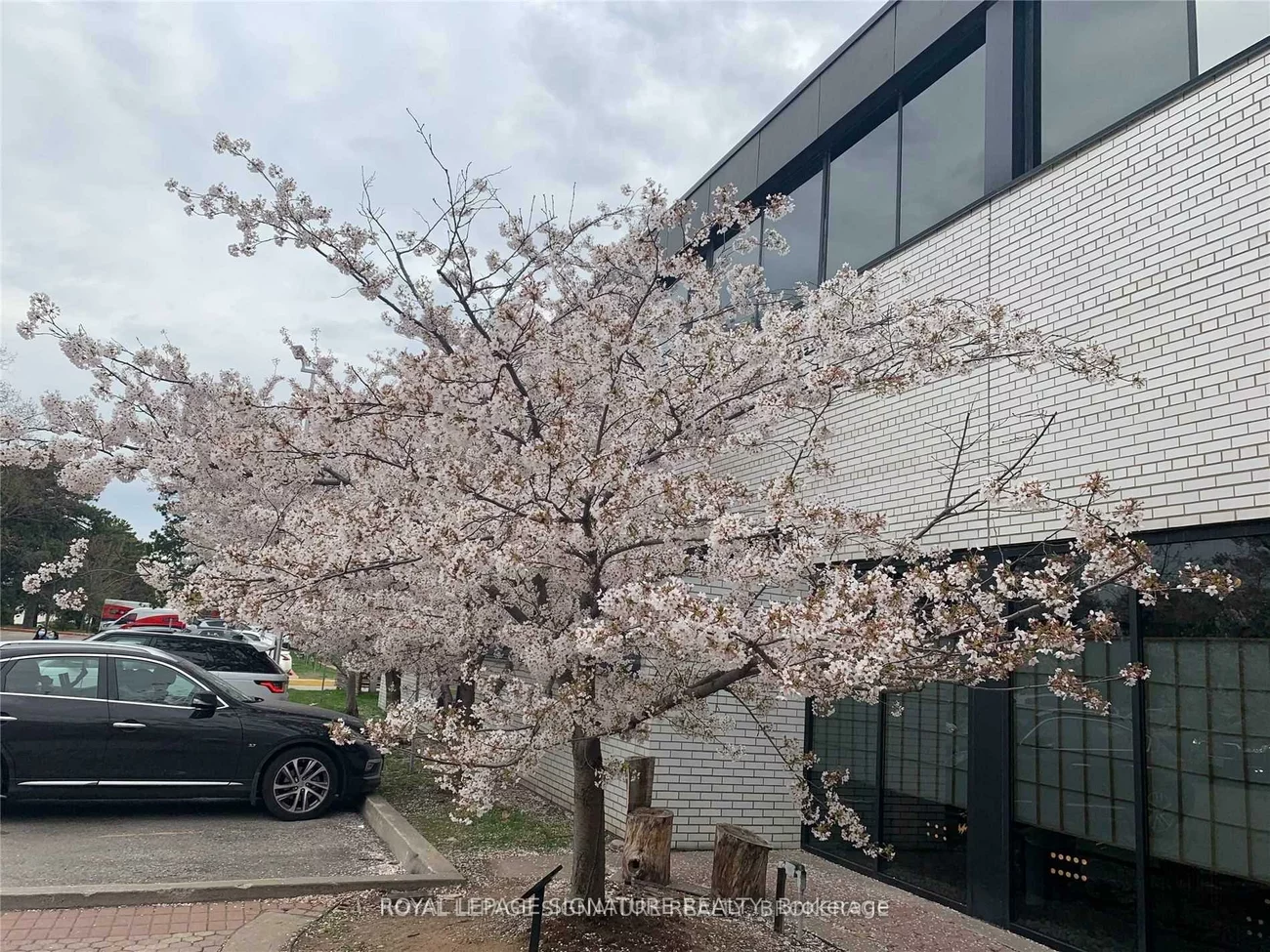 6, Sakura, Banbury-Don Mills, Toronto