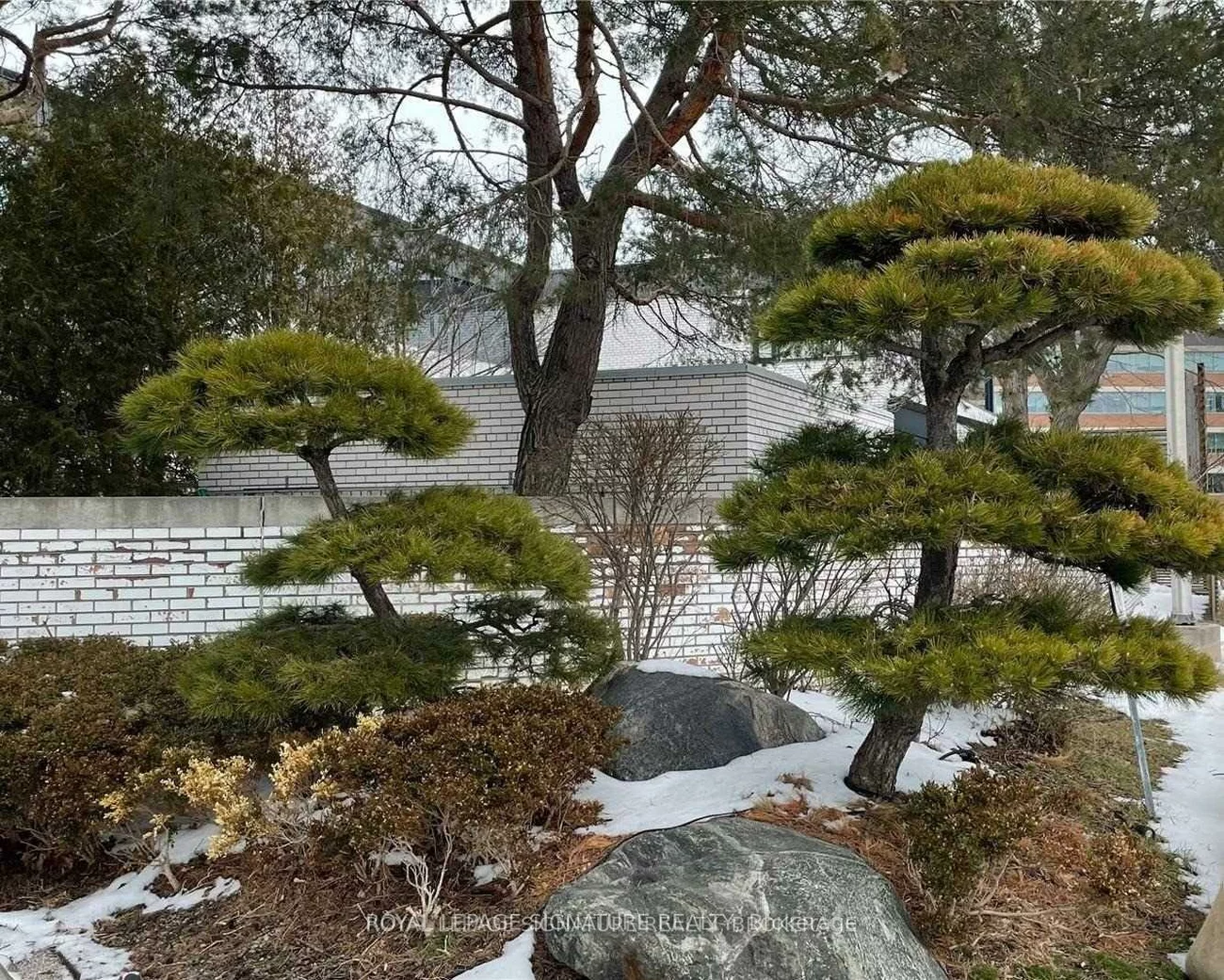 6, Sakura, Banbury-Don Mills, Toronto