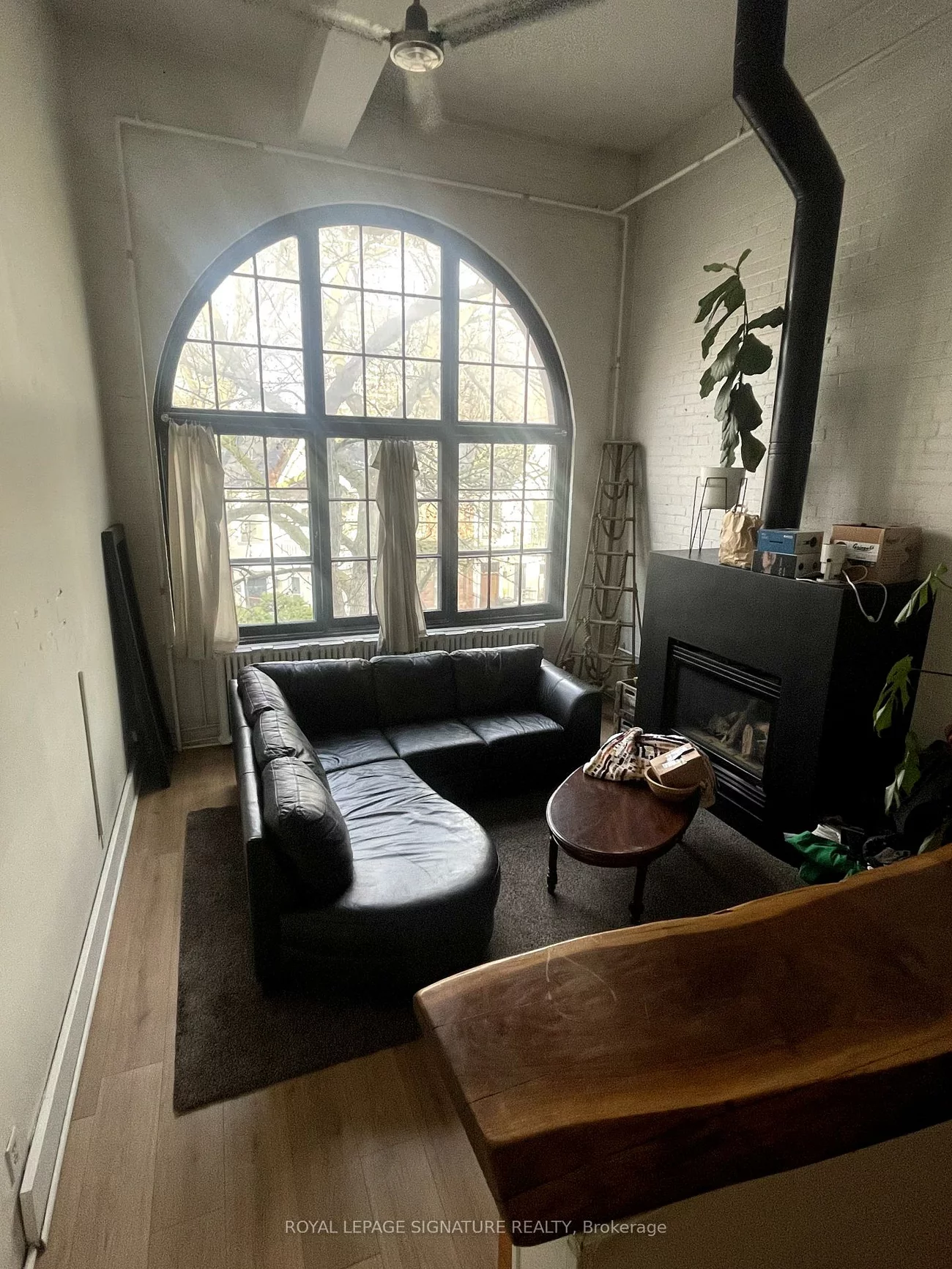 264, Seaton, Moss Park, Toronto