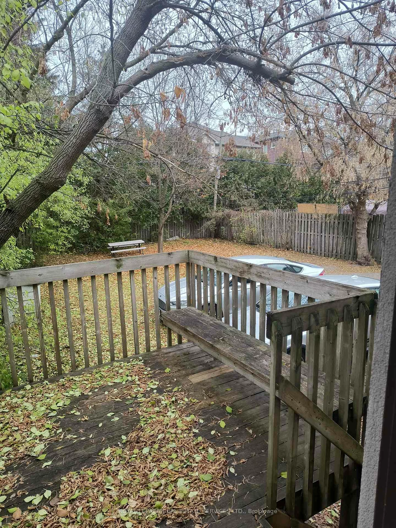 156, Sheppard, Lansing-Westgate, Toronto