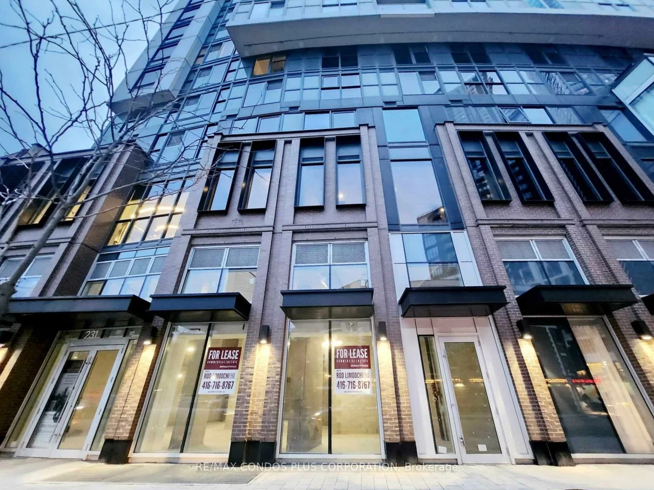 231, Dundas, Moss Park, Toronto