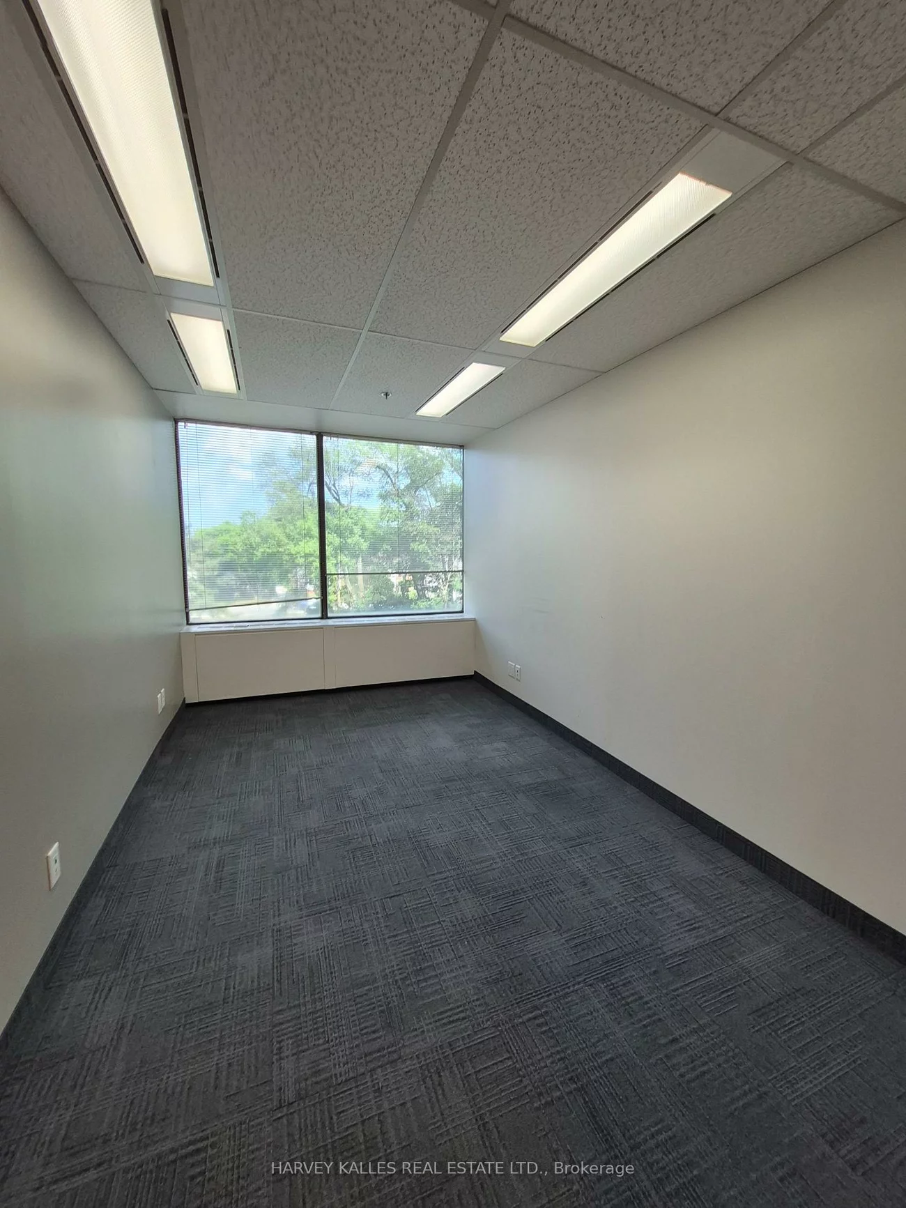 45, Sheppard, Willowdale East, Toronto