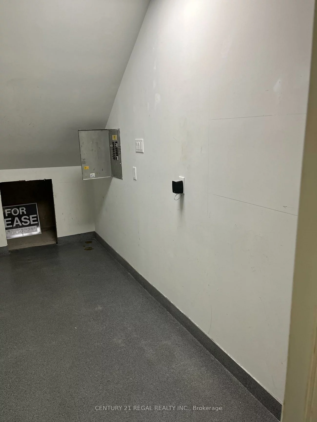 1172, Dundas, Trinity-Bellwoods, Toronto