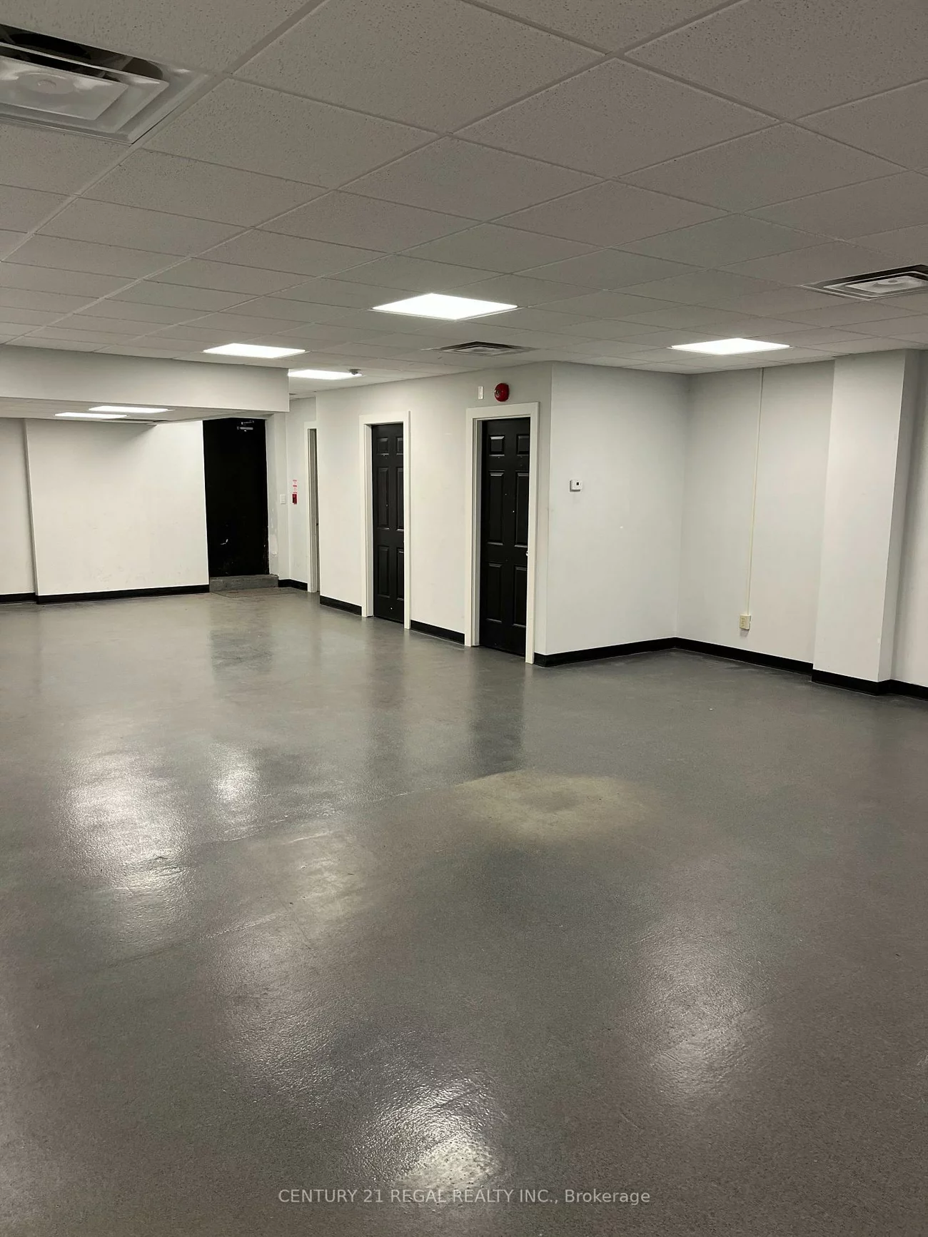 1172, Dundas, Trinity-Bellwoods, Toronto