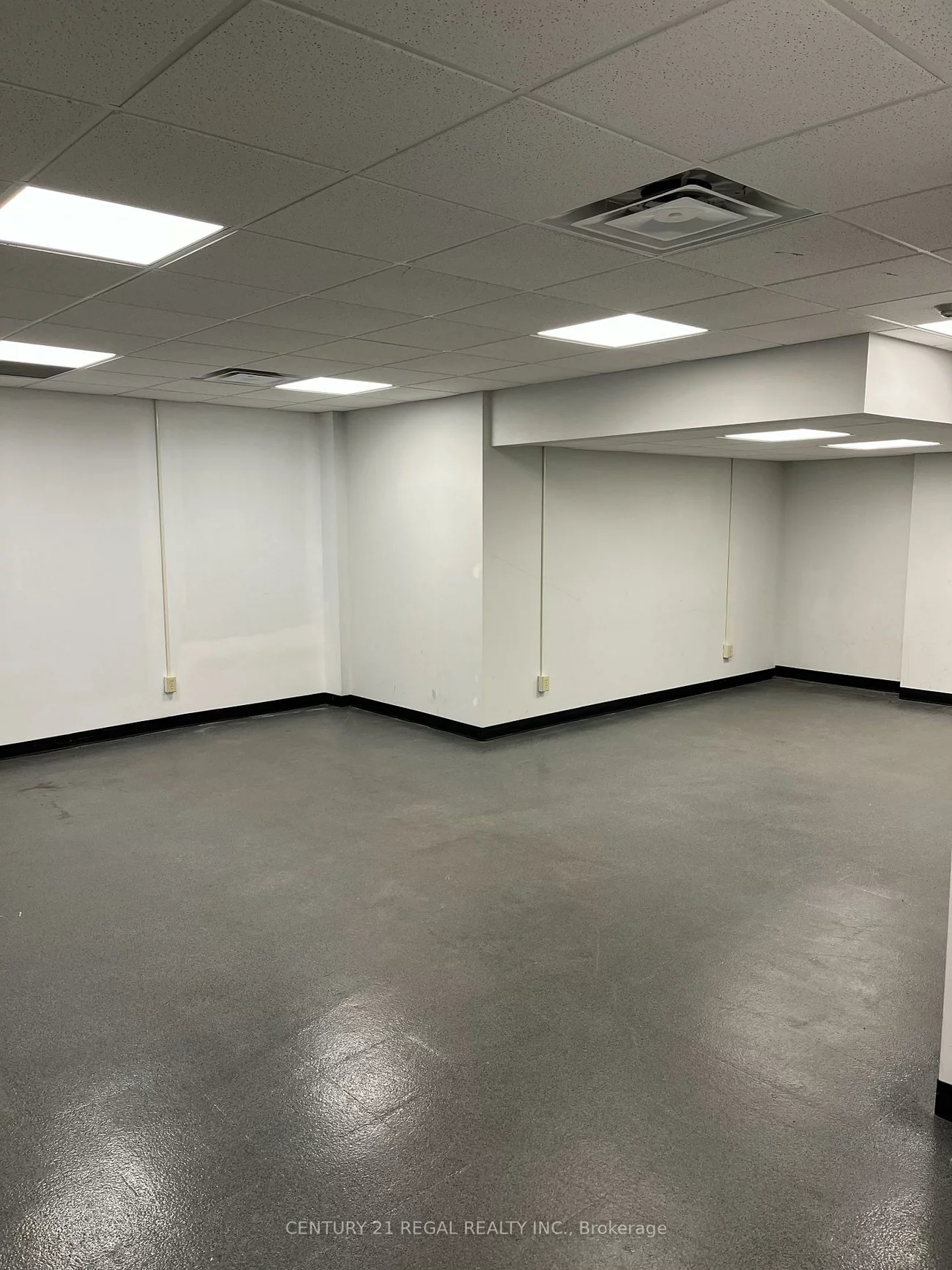 1172, Dundas, Trinity-Bellwoods, Toronto