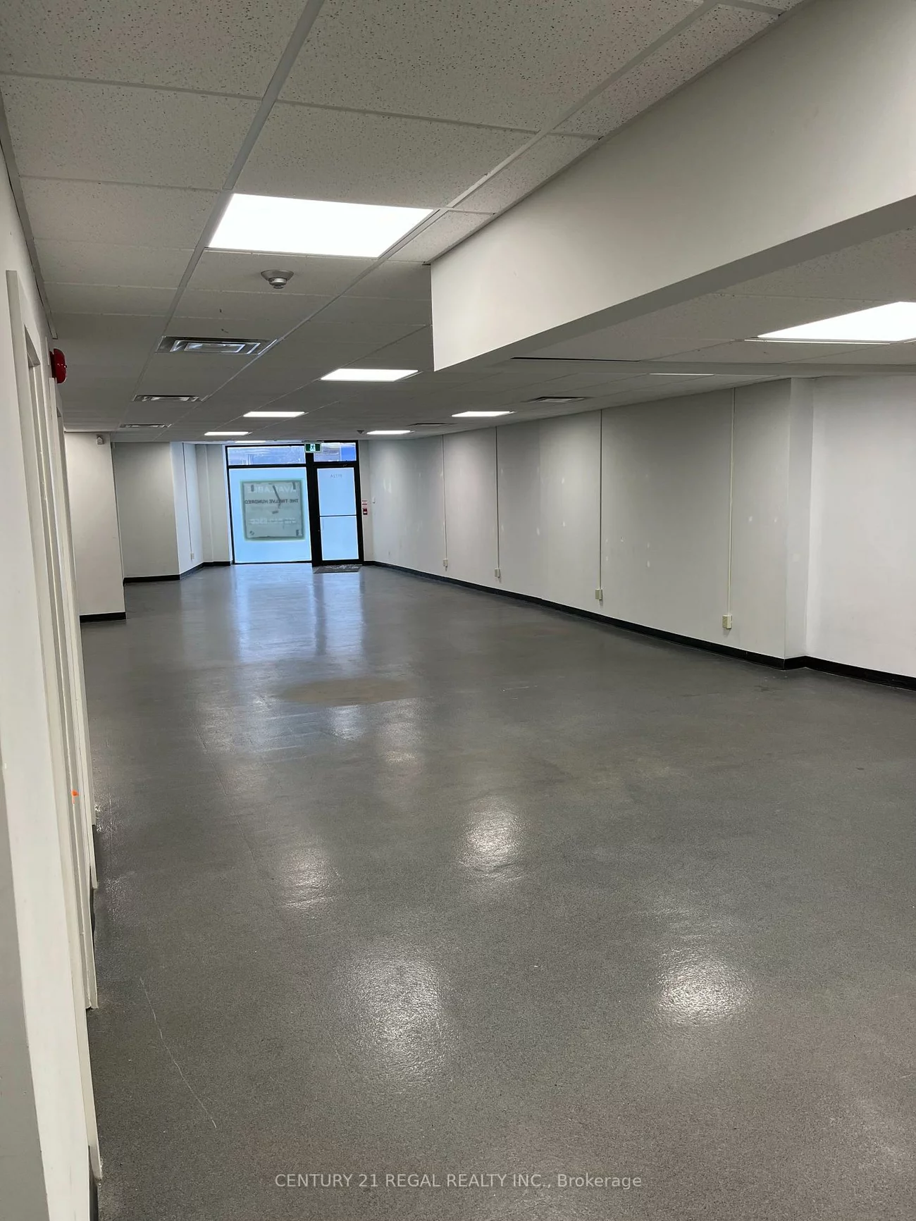 1172, Dundas, Trinity-Bellwoods, Toronto