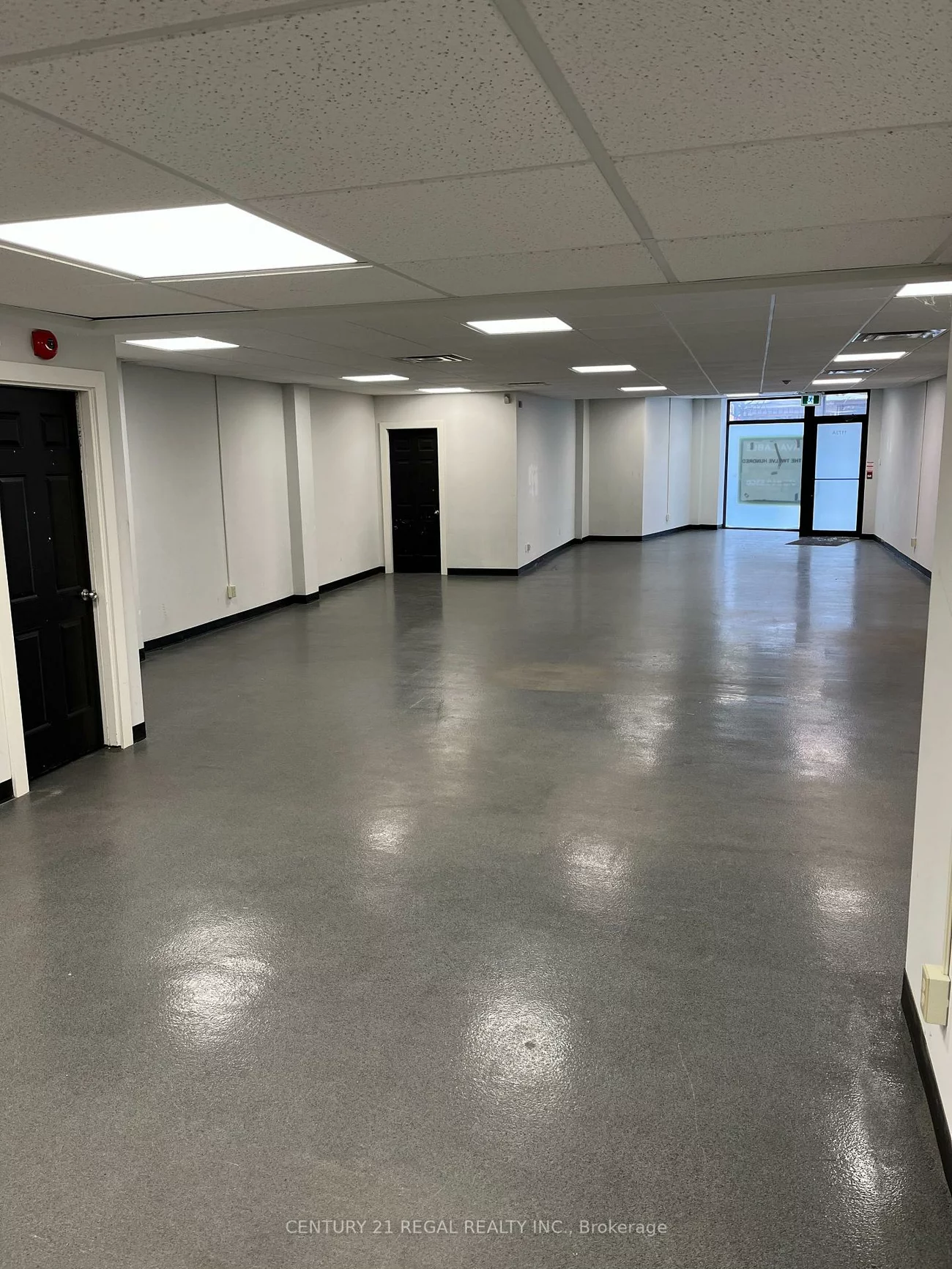 1172, Dundas, Trinity-Bellwoods, Toronto