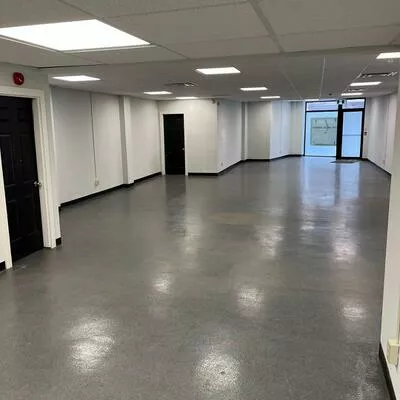 1172, Dundas, Trinity-Bellwoods, Toronto