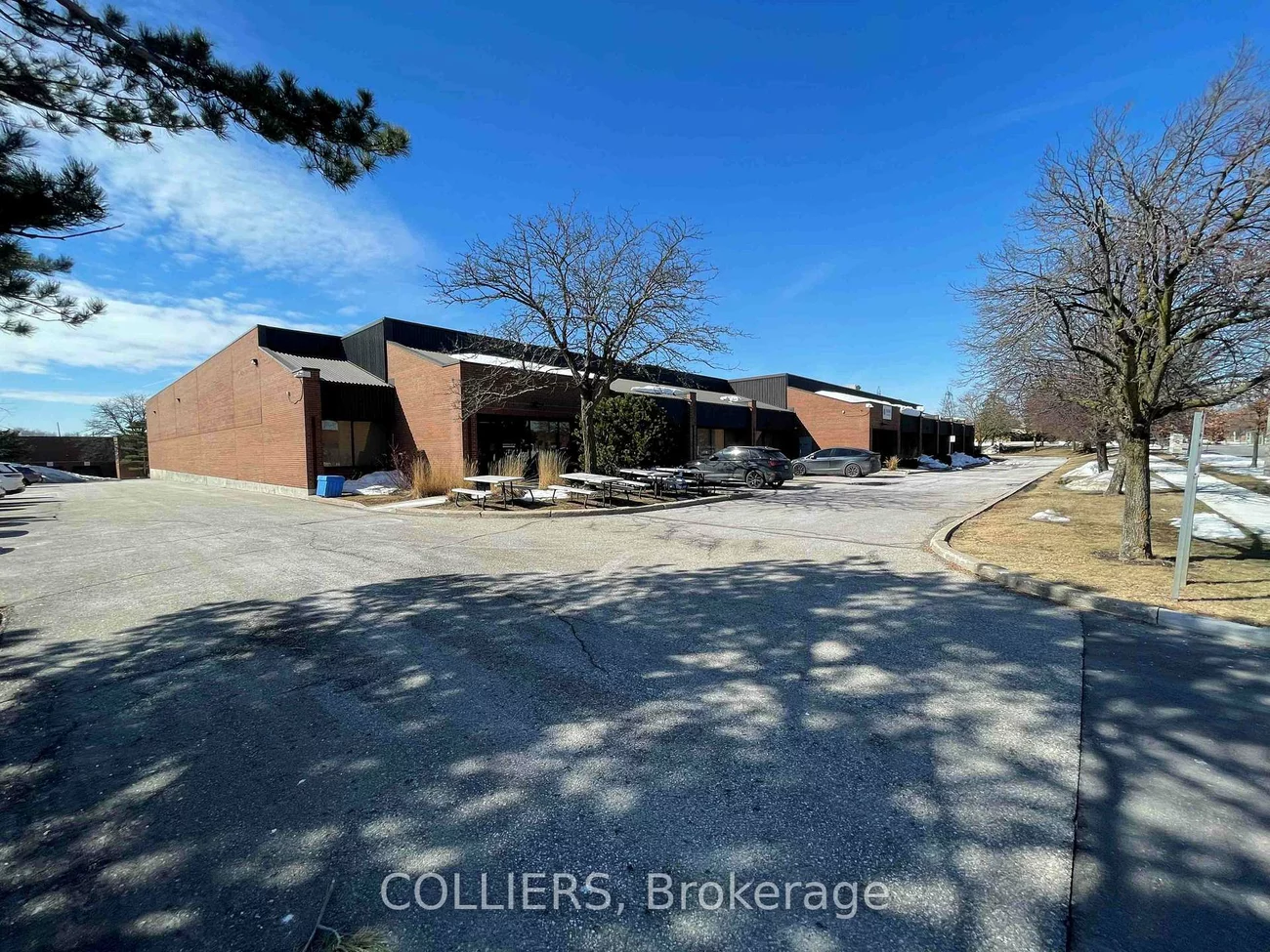 50, Dynamic, Milliken, Toronto