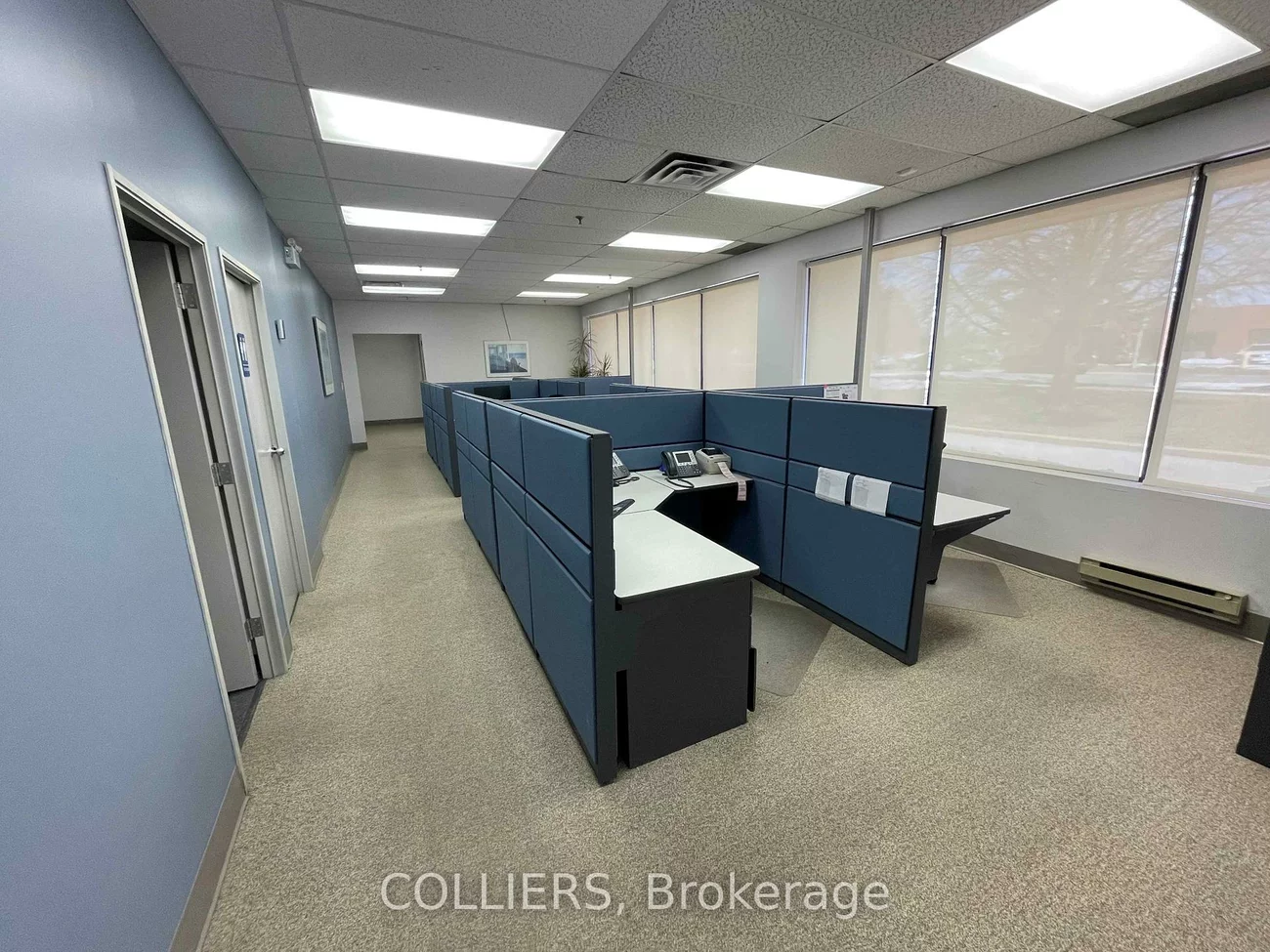 50, Dynamic, Milliken, Toronto