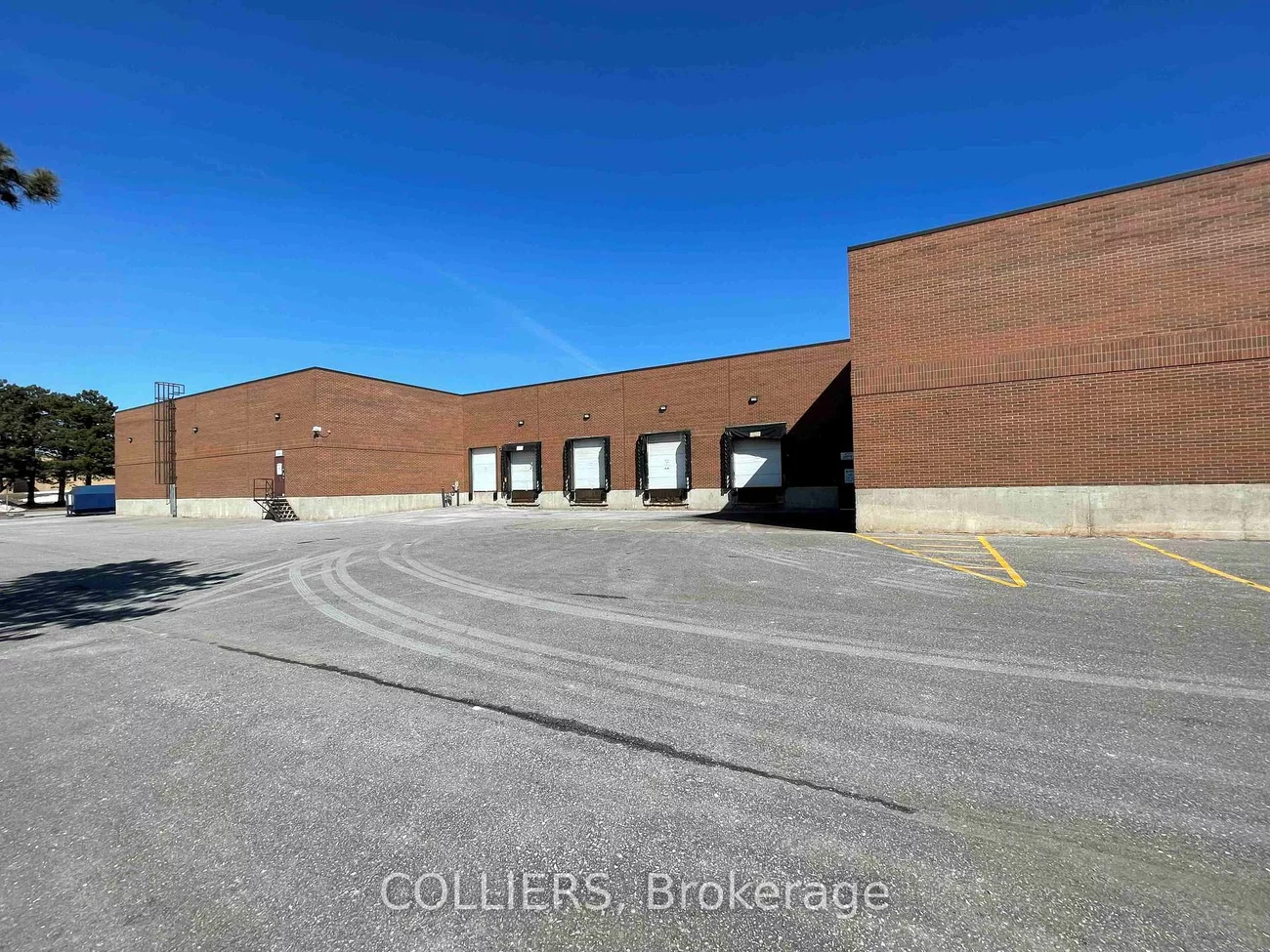 50, Dynamic, Milliken, Toronto