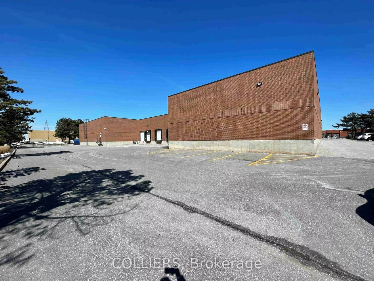 50, Dynamic, Milliken, Toronto