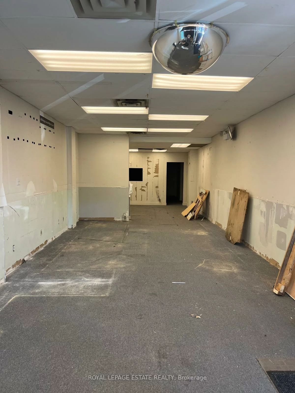 2142A, Queen, The Beaches, Toronto