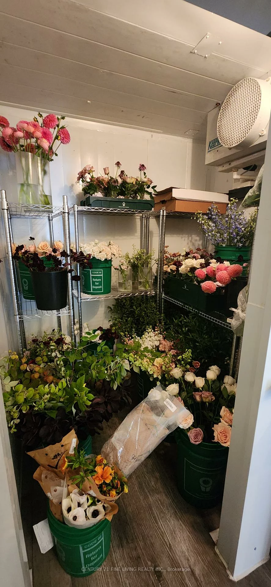 3130, Dundas, Junction Area, Toronto