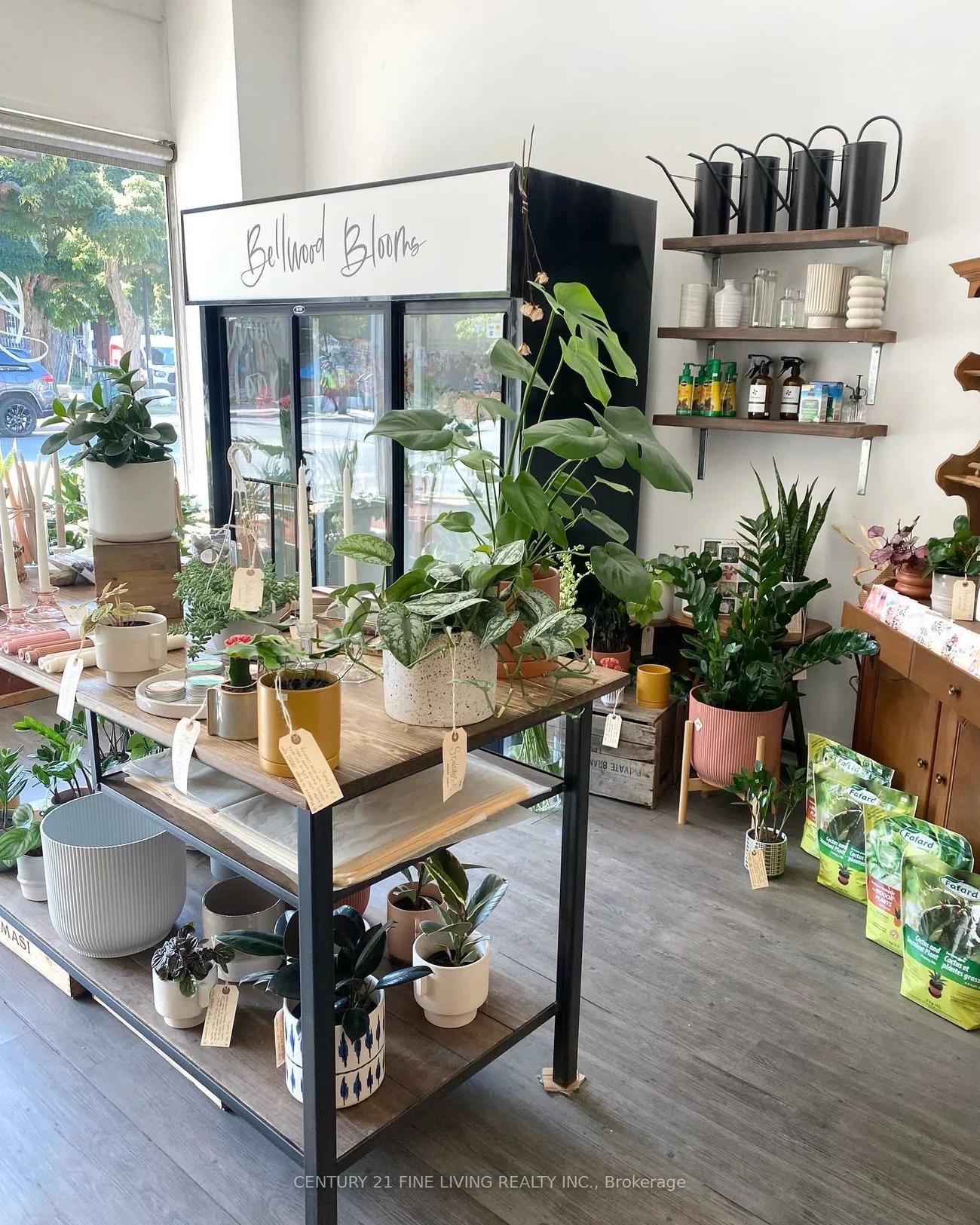 3130, Dundas, Junction Area, Toronto