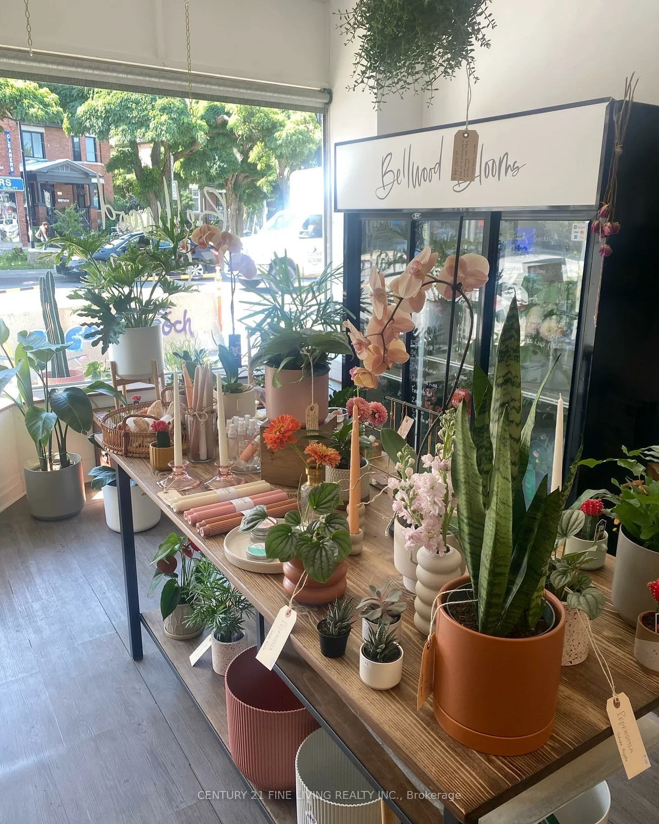 3130, Dundas, Junction Area, Toronto