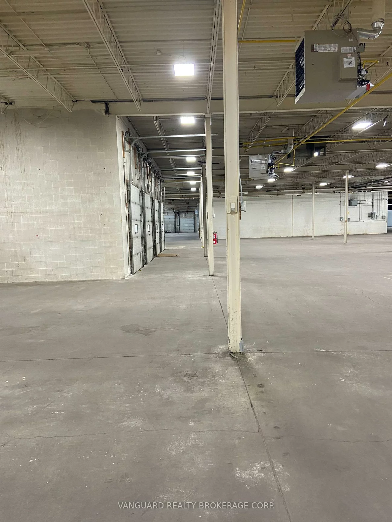 100, Brisbane, York University Heights, Toronto