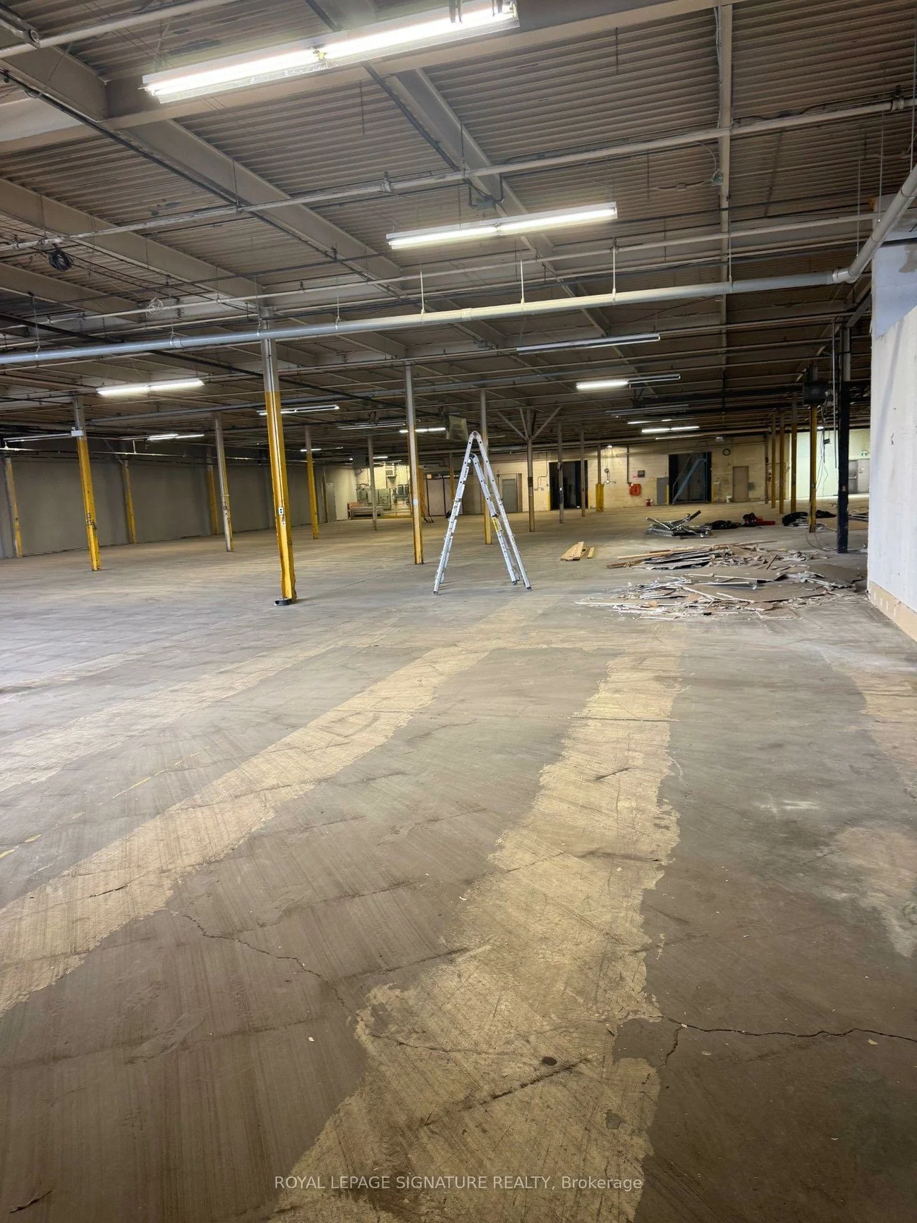 80, Jutland, Islington-City Centre West, Toronto
