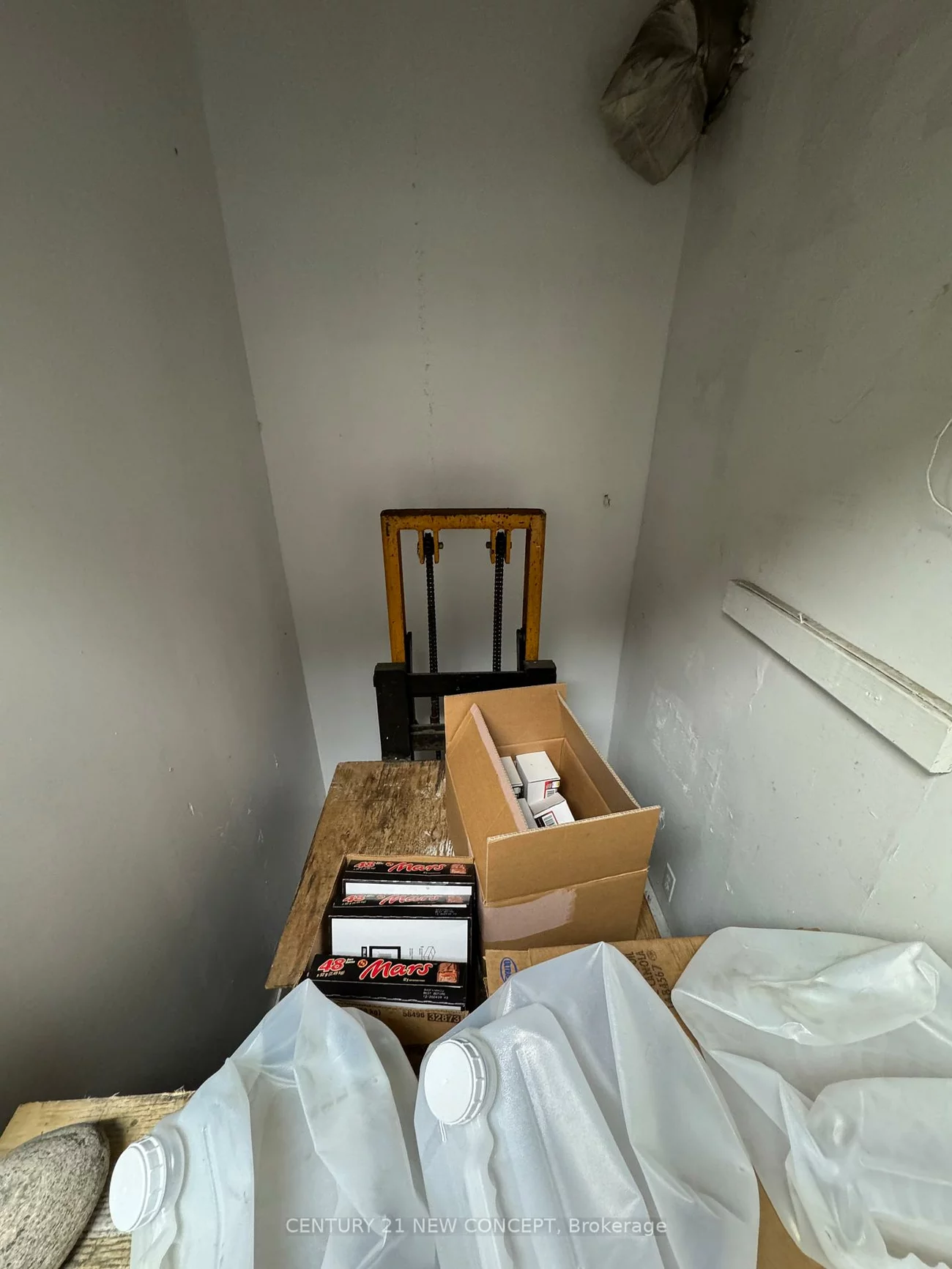 5, Spring Garden, Willowdale East, Toronto