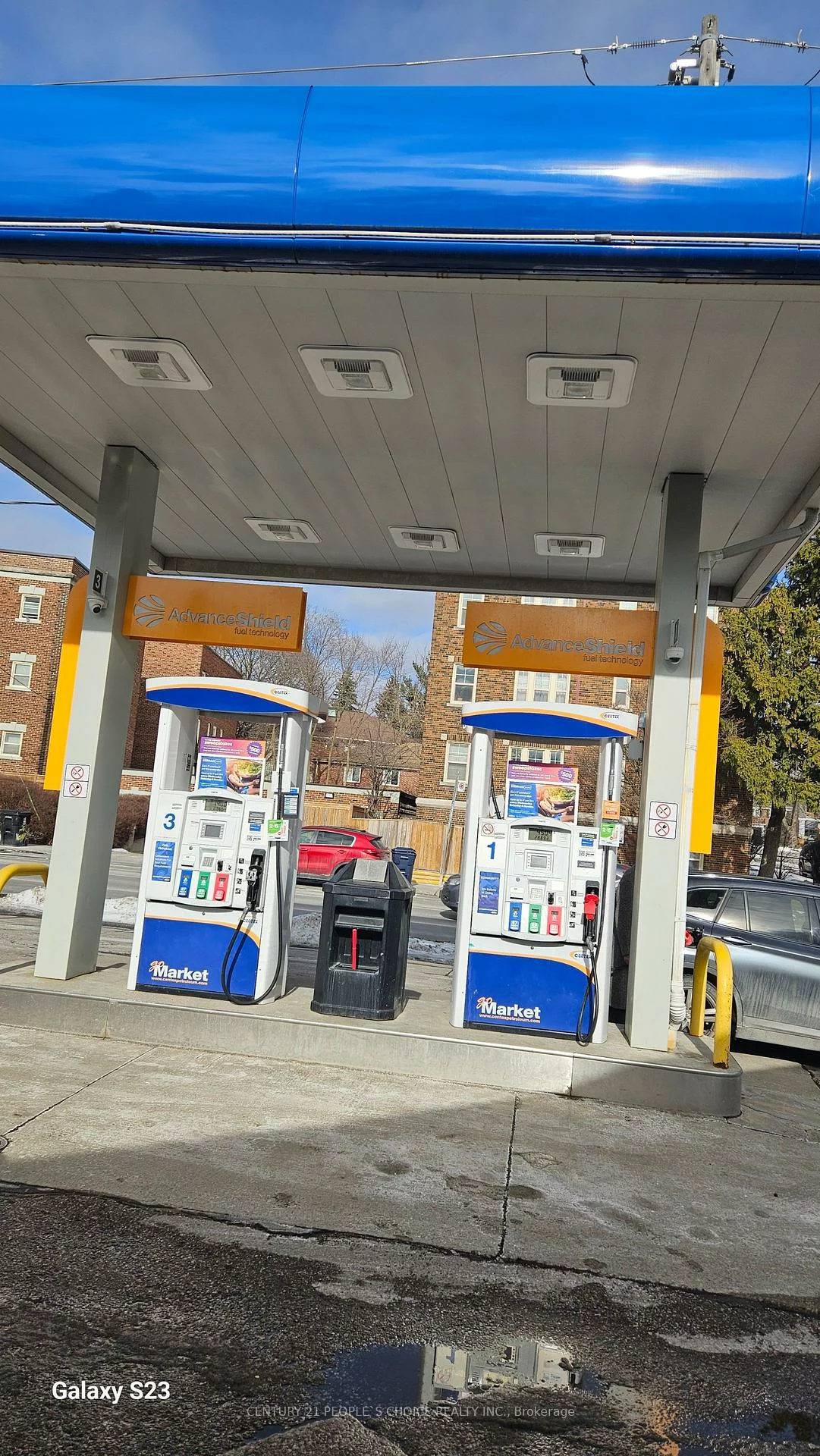 260, Vaughan, Humewood-Cedarvale, Toronto