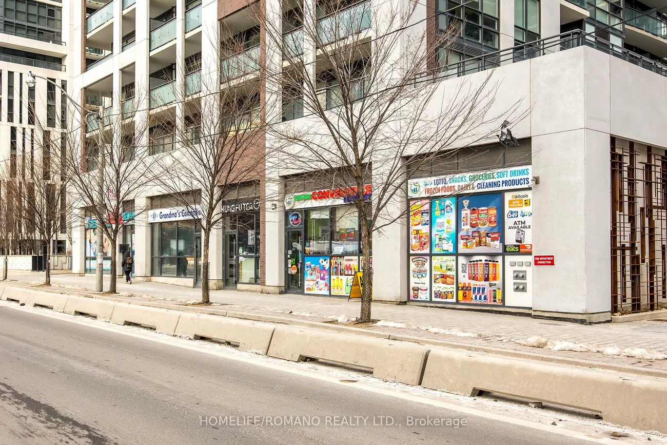 462, Adelaide, Moss Park, Toronto