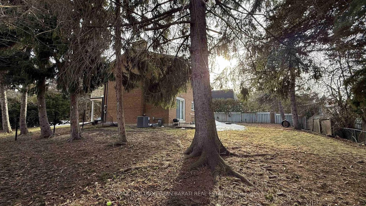 298, Newton, Newtonbrook East, Toronto