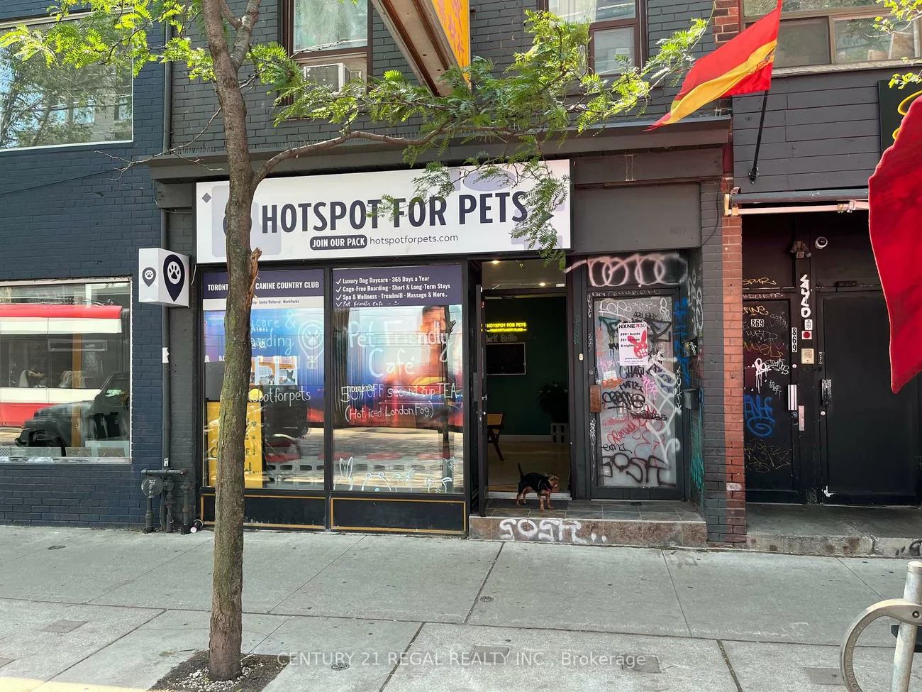 867, DUNDAS, Trinity-Bellwoods, Toronto