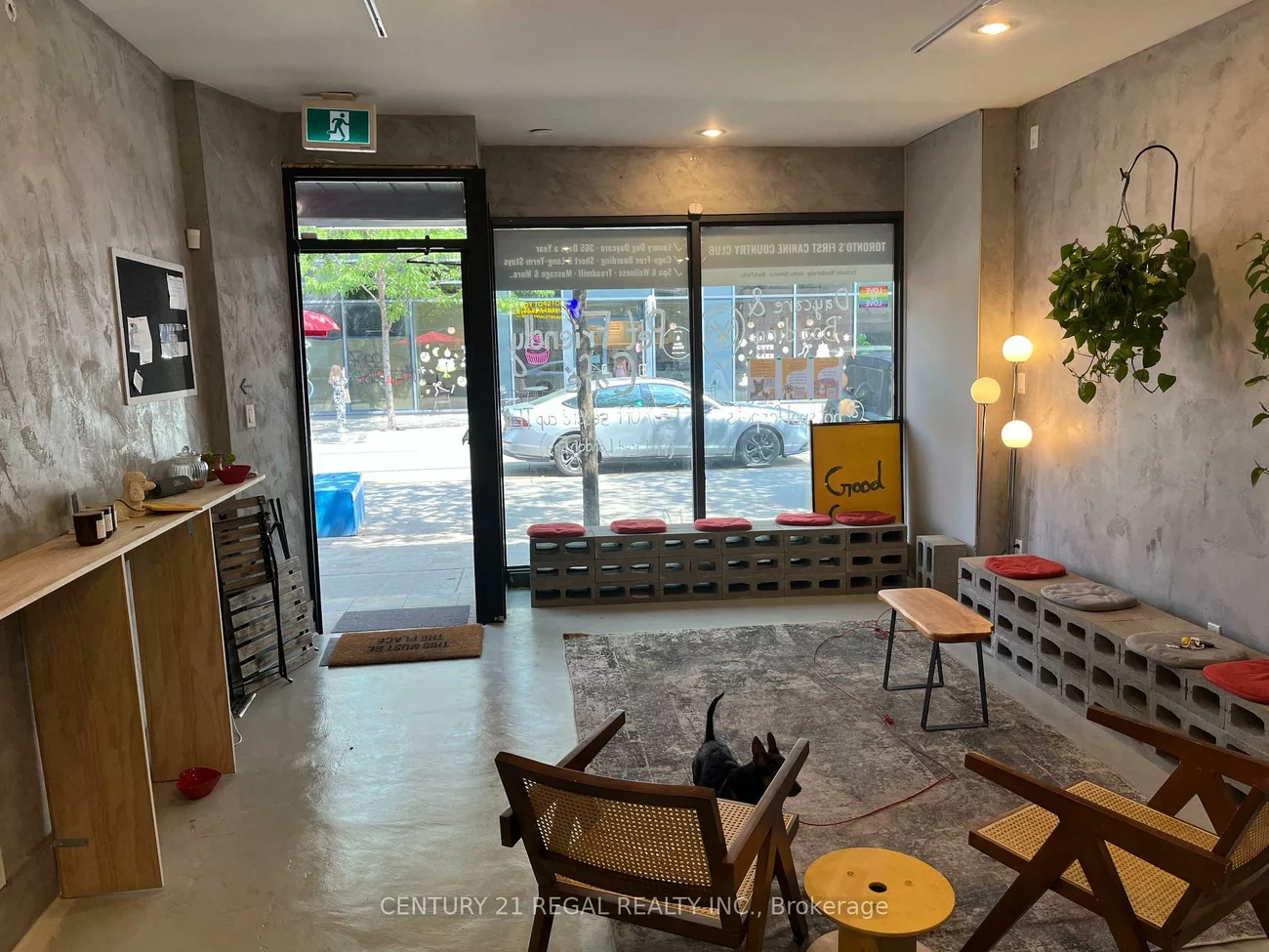 867, DUNDAS, Trinity-Bellwoods, Toronto