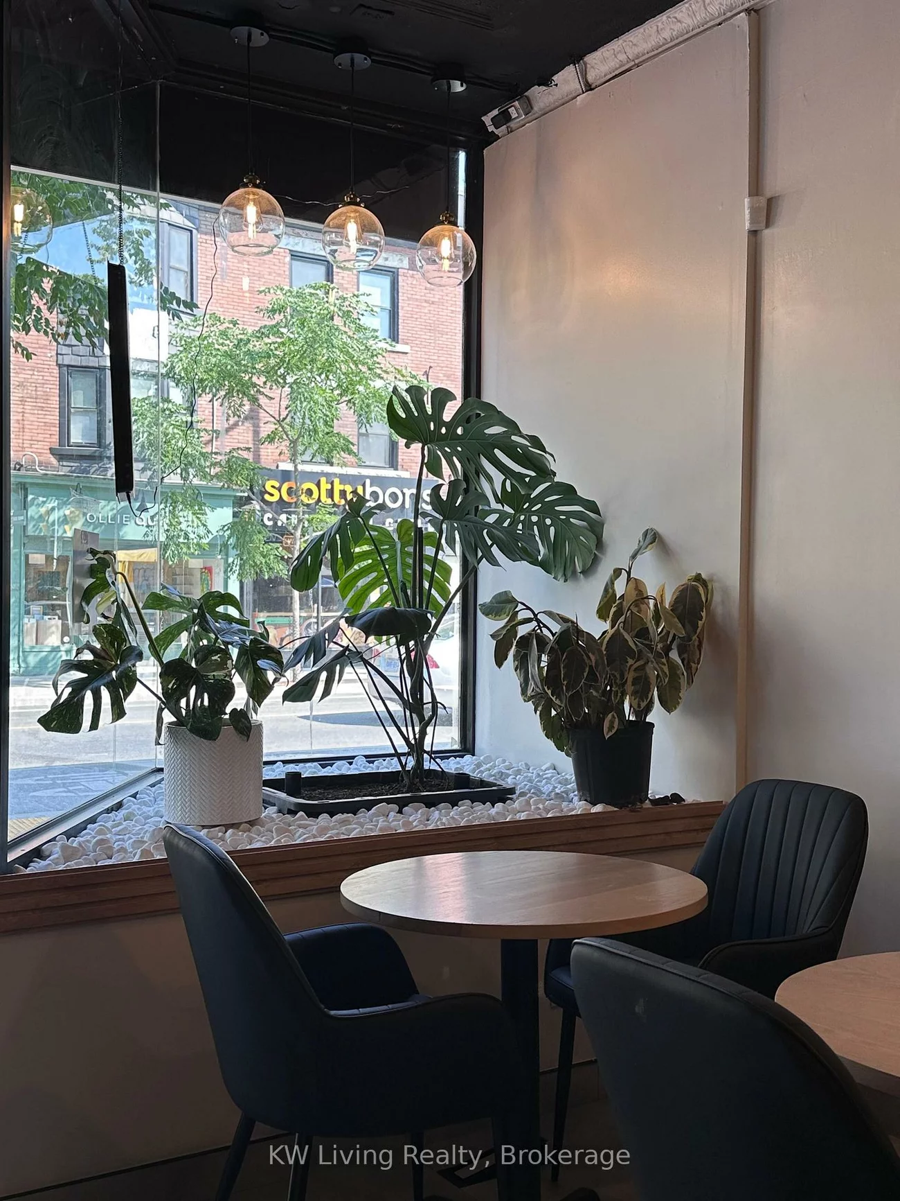 491, Bloor, University, Toronto