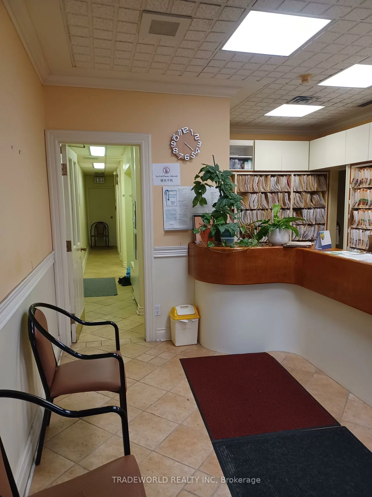 110, Beverley, Kensington-Chinatown, Toronto