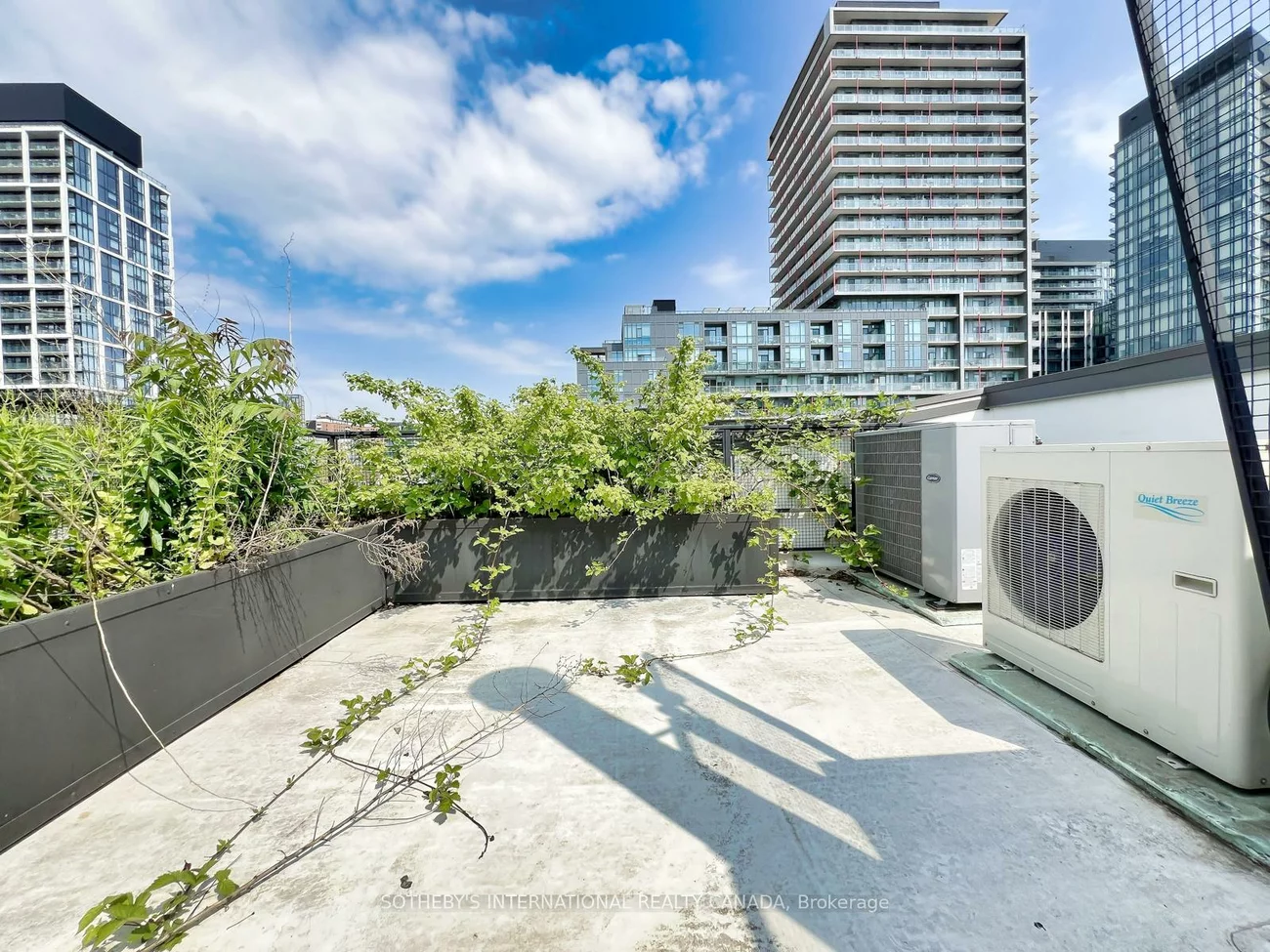 79, Berkeley, Moss Park, Toronto