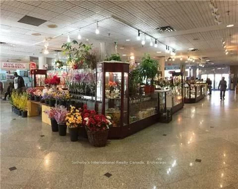 222, Spadina, Kensington-Chinatown, Toronto