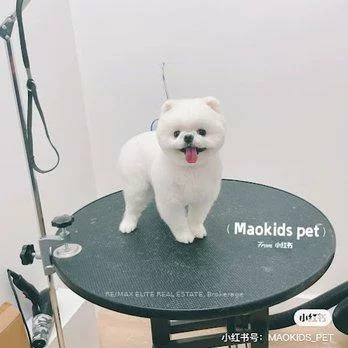 133, McMahon, Bayview Village, Toronto