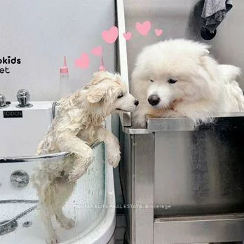 133, McMahon, Bayview Village, Toronto