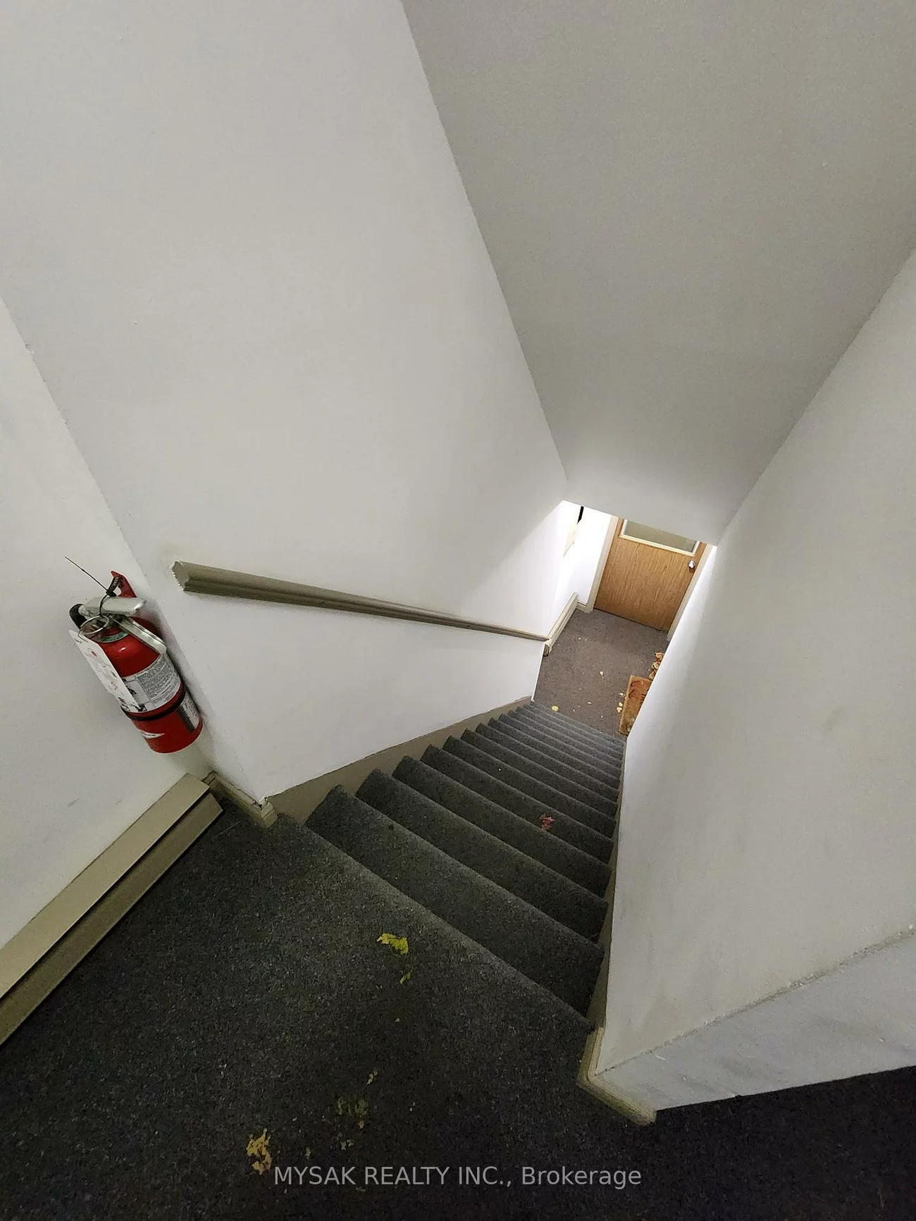 50, Dundonald, Church-Yonge Corridor, Toronto