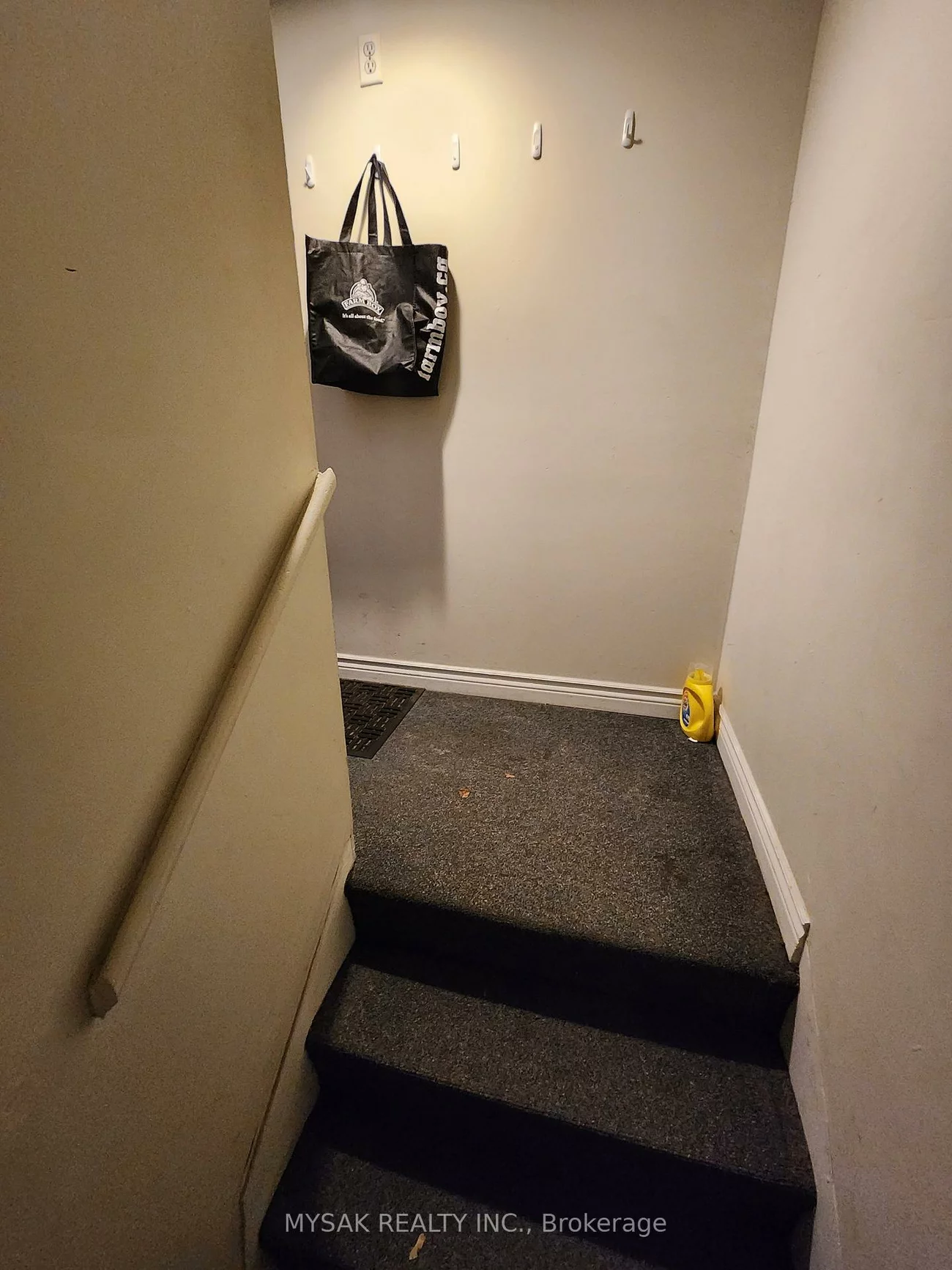 50, Dundonald, Church-Yonge Corridor, Toronto