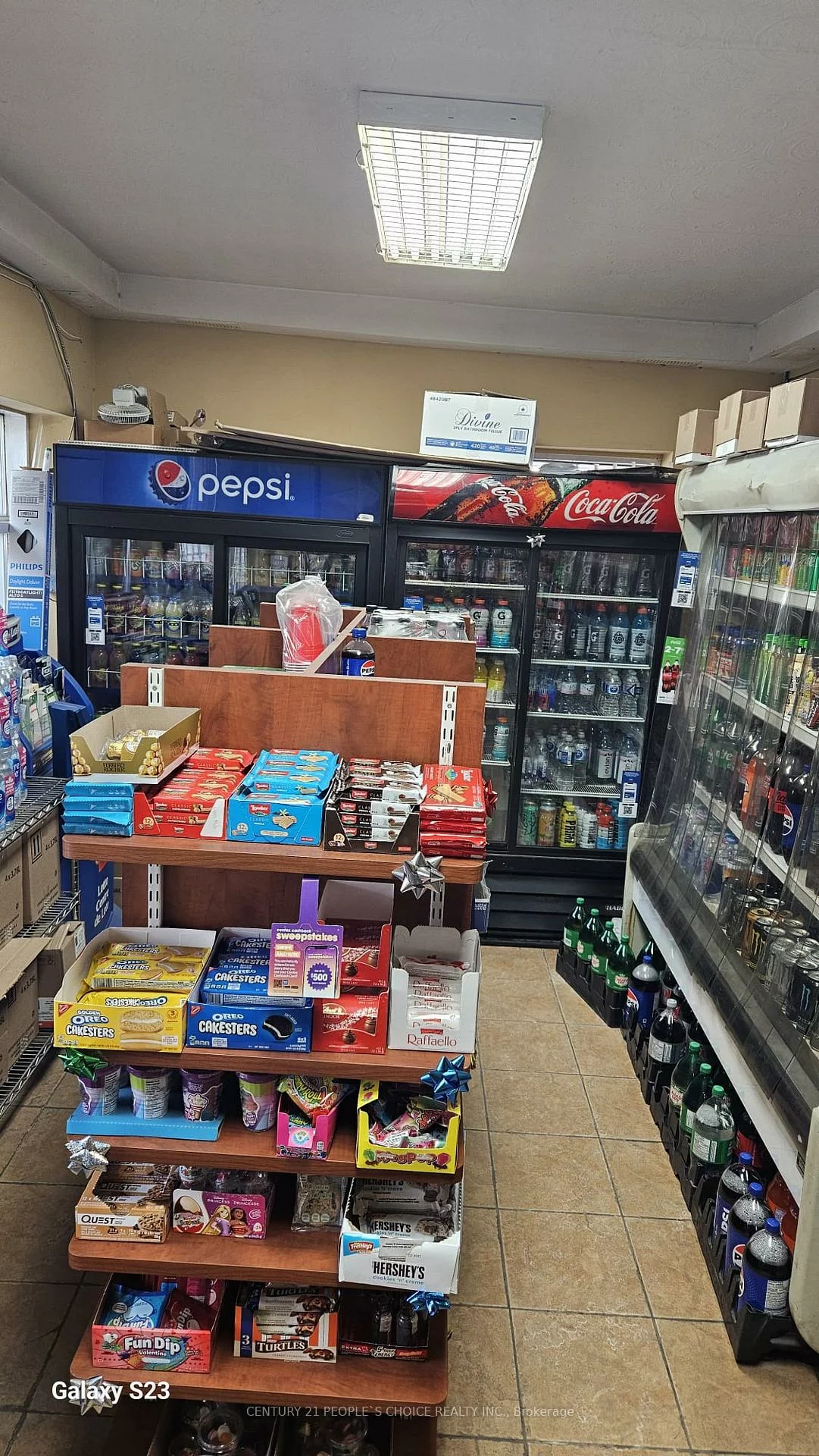 260, Vaughan, Humewood-Cedarvale, Toronto