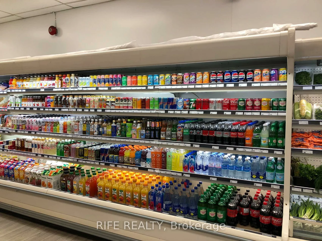 497, Church, Church-Yonge Corridor, Toronto