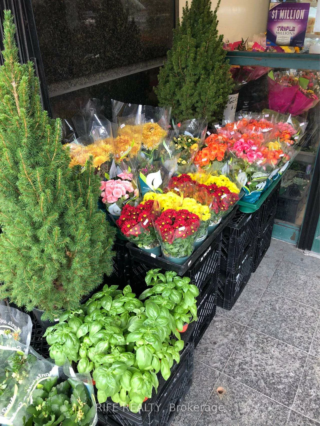 497, Church, Church-Yonge Corridor, Toronto