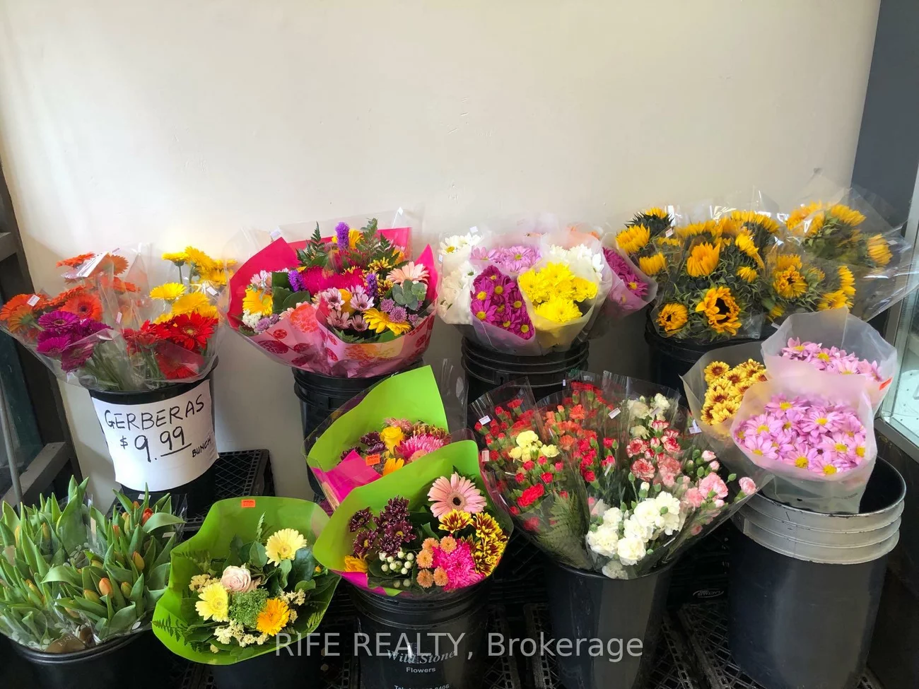 497, Church, Church-Yonge Corridor, Toronto