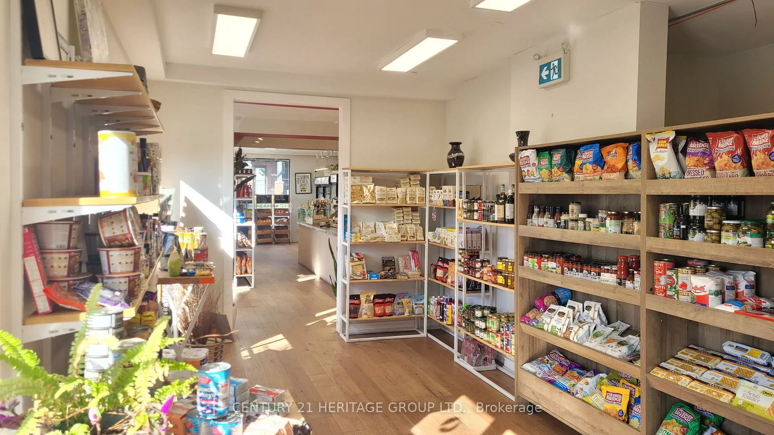 42, Dewson, Palmerston-Little Italy, Toronto