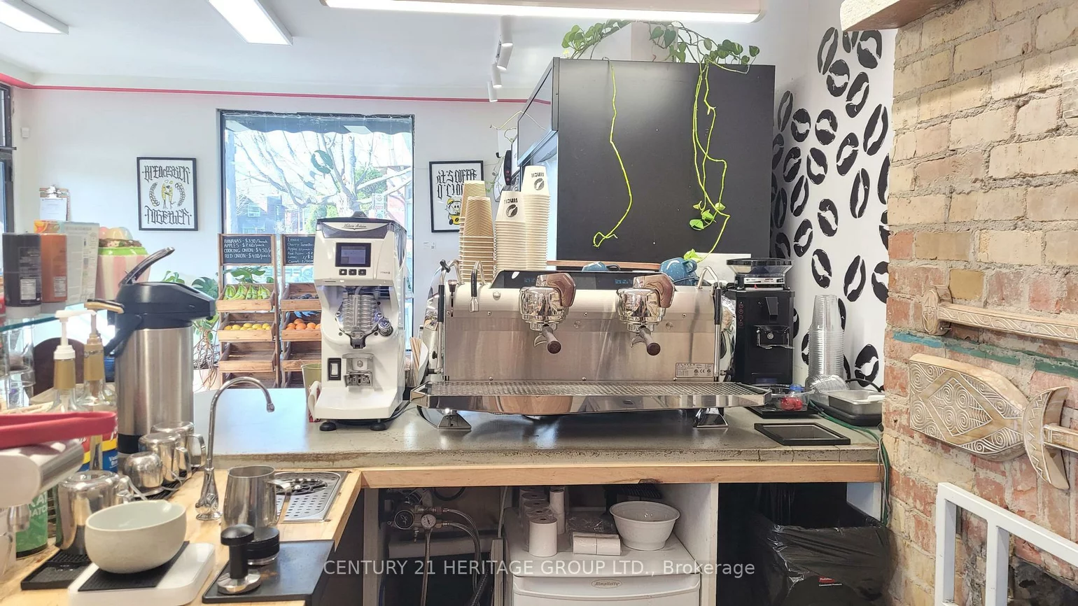 42, Dewson, Palmerston-Little Italy, Toronto